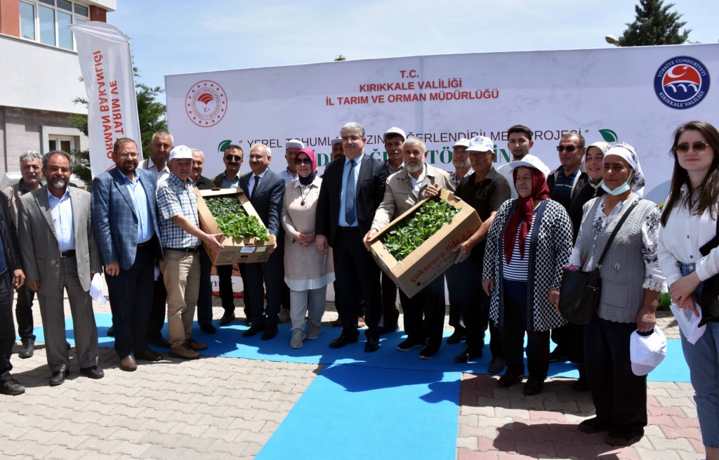 Çiftçilere 20 bin sebze fidesi dağıtıldı