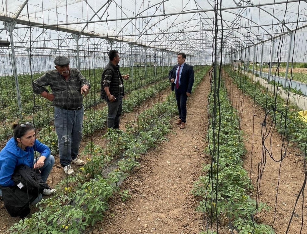 Tarım ve Orman Müdürlüğü ekipleri, ekili arazilerde inceleme yaptı