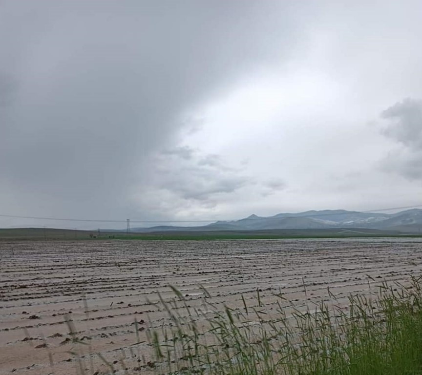 Sağanak ve dolu tarım arazilerine zarar verdi