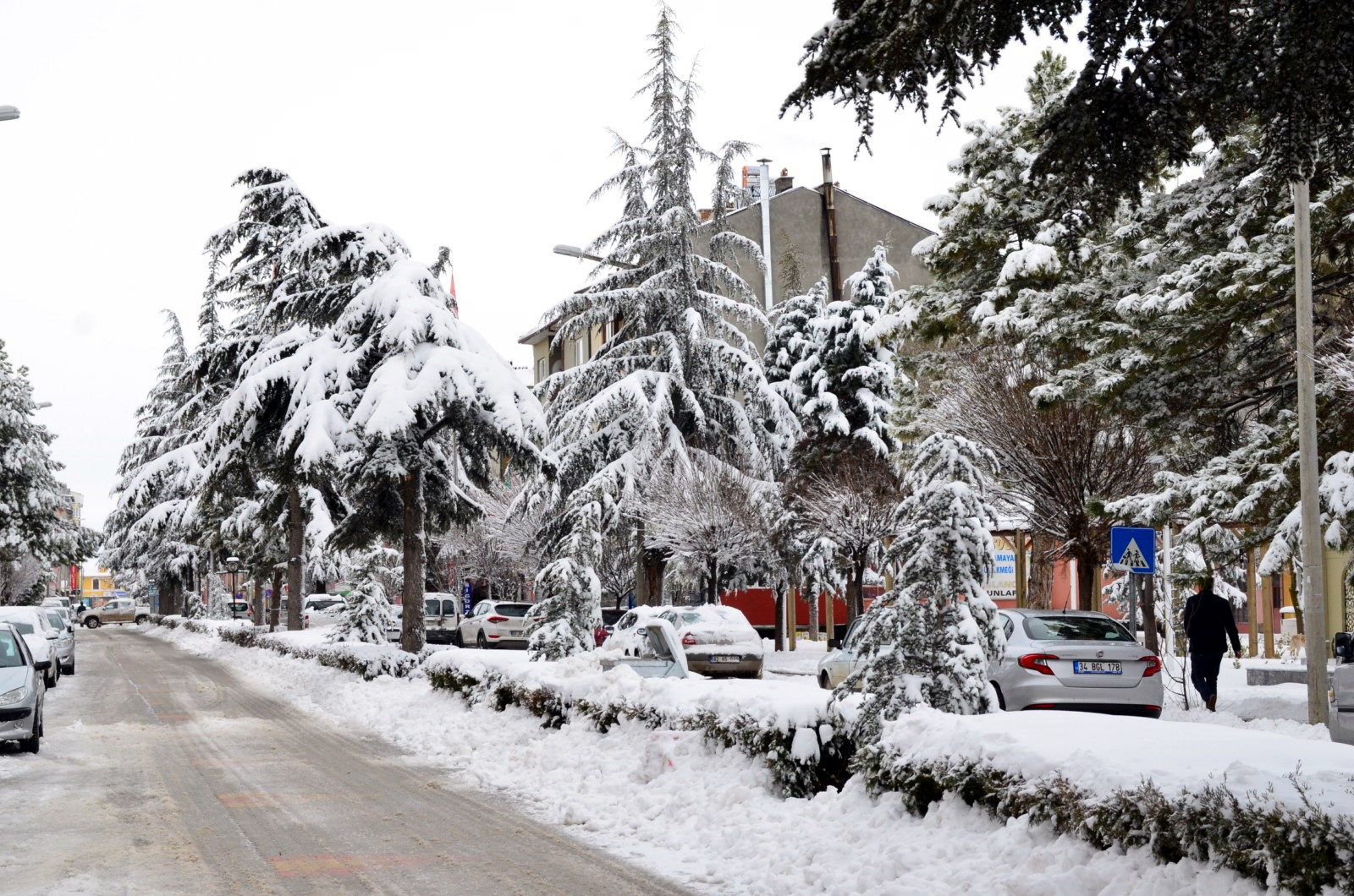 Kar yağışları umut oldu