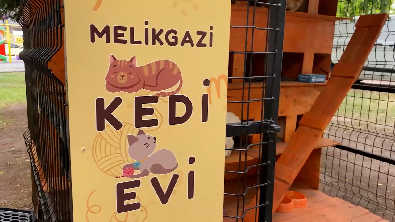 Parklara kedi evleri yerleştirildi