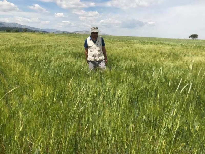 Üretici taban fiyat bekliyor