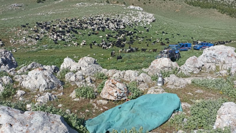 Kayınbiraderini bıçakla öldüren kadın yakalandı