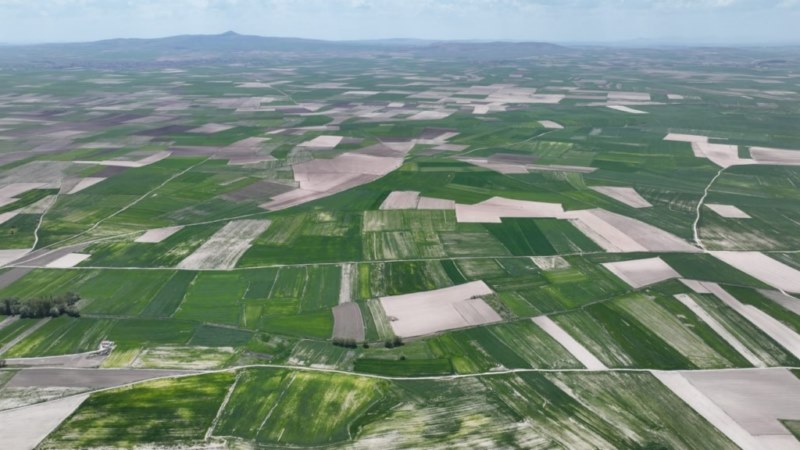 Tüzel kişilik kazanan sera OSB'de yıllık 35 bin ton ürün yetiştirilecek