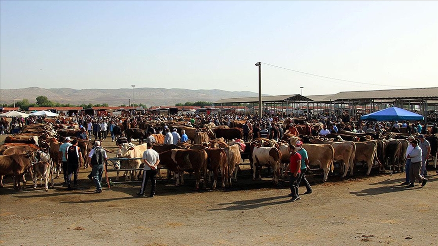 Hayvan pazarları tedbiren kapatıldı