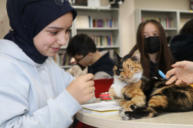 Kedi "Merkür" lise öğrencilerinin yakın arkadaşı oldu