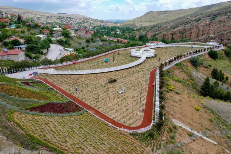 Lavanta bahçesi ziyaretçilere açılmak için gün sayıyor