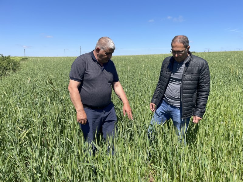 Hububat alım fiyatları çiftçinin beklentisini karşıladı