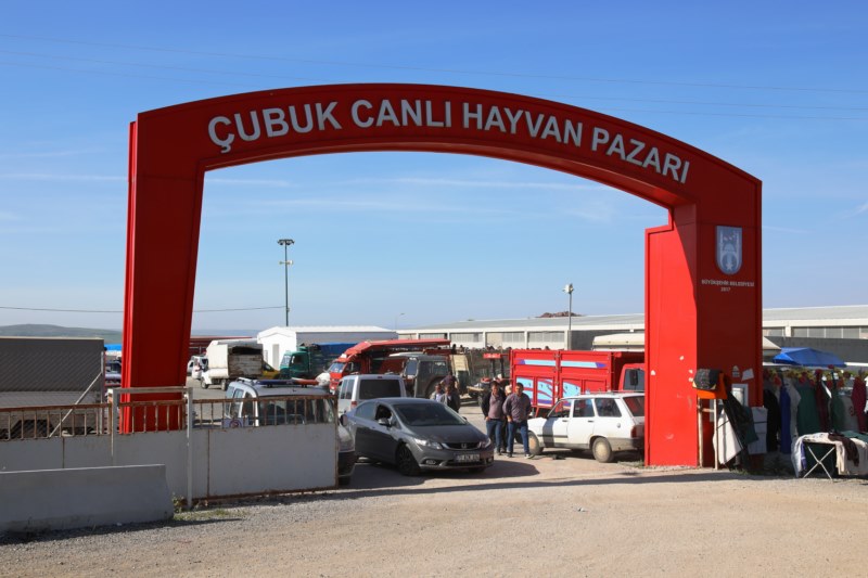 Canlı hayvan pazarında kurbanlık satışları başladı