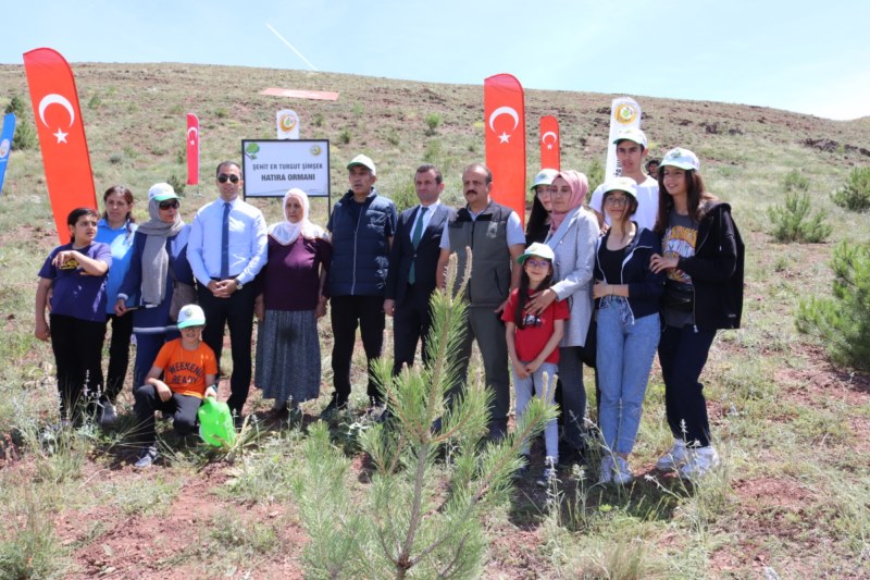 Sarıoğlan'da ağaçlandırılan alana şehit Şimşek'in adı verildi