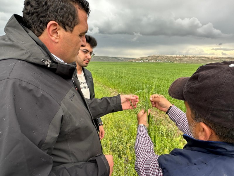 "Selden zarar gören yerler 'Afet Bölgesi' ilan edilmeli"