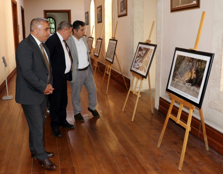 Lösemili çocuklar yararına yaban hayatı fotoğraf sergisi açıldı