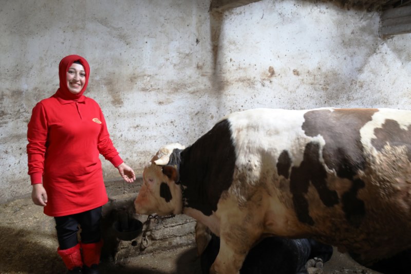 Bileziklerini satarak hayvancılığa başlayan girişimci kadın taleplere yetişemiyor