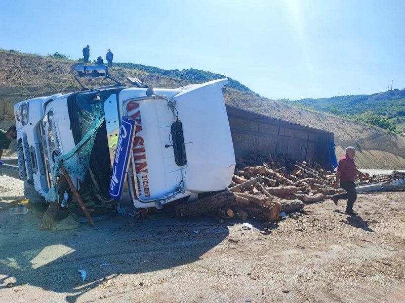 Devrilen tomruk yüklü tırın sürücüsü öldü