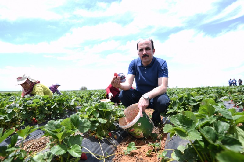 2024 tarımsal destek kayıtları başladı