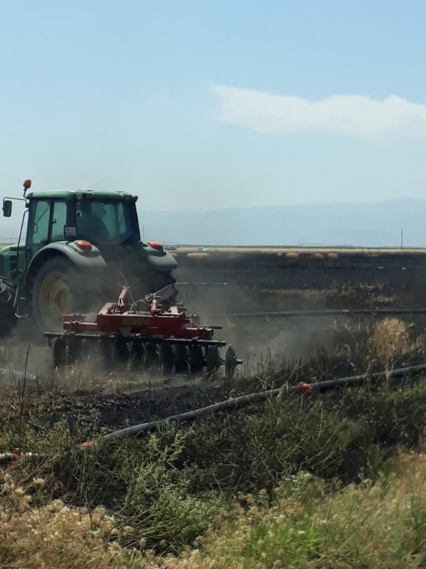 Buğday tarlasında çıkan yangın söndürüldü