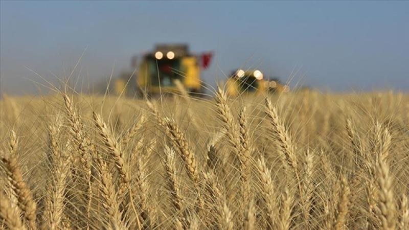 TARSİM’den en fazla dolu hasarına ödeme yapıldı