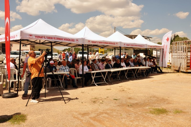 Yerli buğday ve arpa çeşitleri tanıtıldı