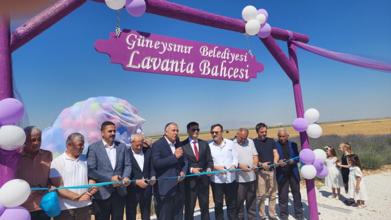 Lavanta bahçeleri açıldı