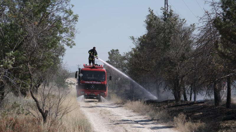 Erozyon önleme sahasında çıkan yangın söndürüldü