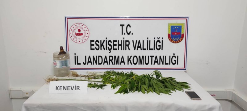 İlçe mezarlığına kenevir bitkisi ektiği iddia edilen zanlı yakalandı