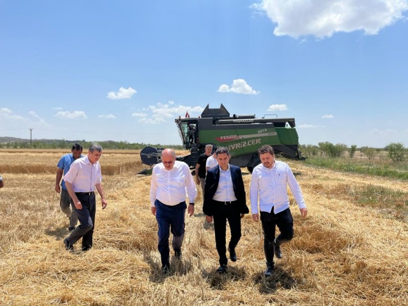 Tarım Uygulama Sahasında hasat heyecanı