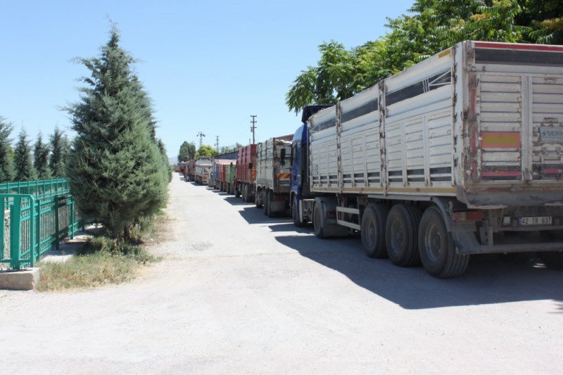 Tarım işletmelerinde hasat başladı