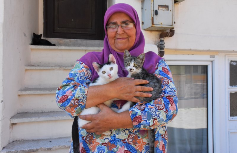 Hayvansever kadın mama desteği istiyor