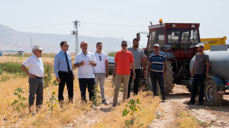 Sarıcalar Araştırma ve Uygulama Çiftliği'nde buğday hasadı başladı