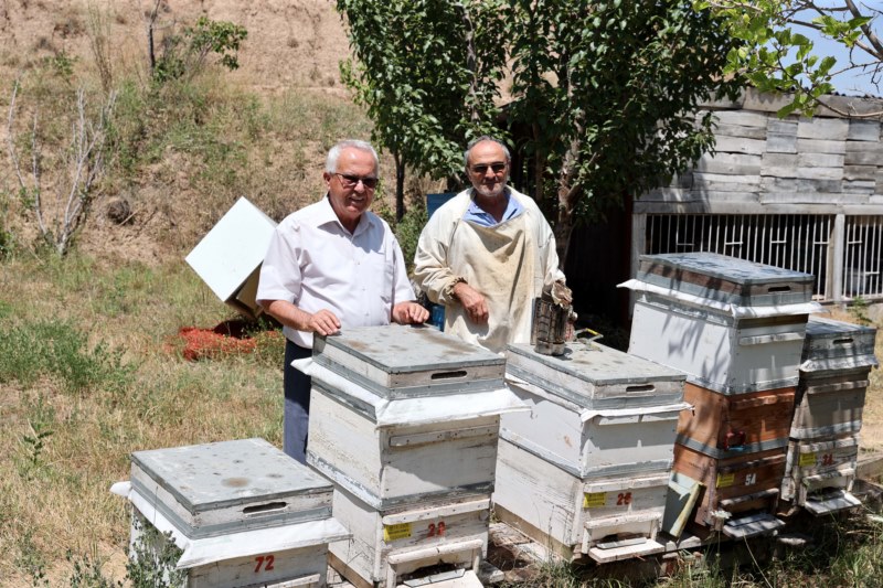 Bal üreticilerinden kovan alanlarının artırılması talebi