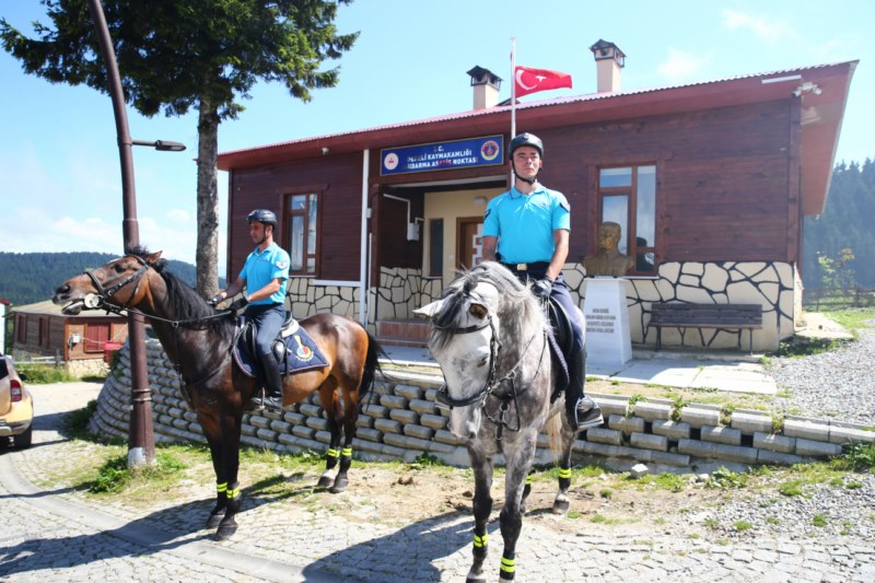 Atlı jandarma timi 1700 rakımlı yaylada görev yapıyor