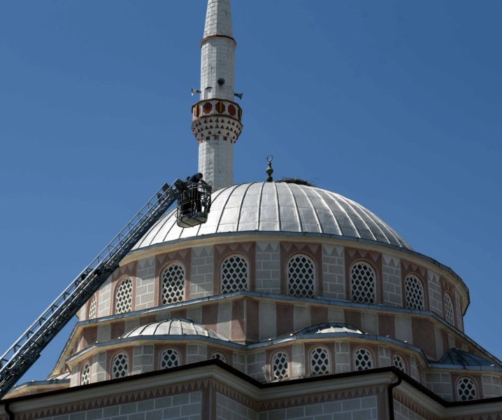 Tedavi edilen leylek yavrusu cami kubbesindeki yuvaya bırakıldı