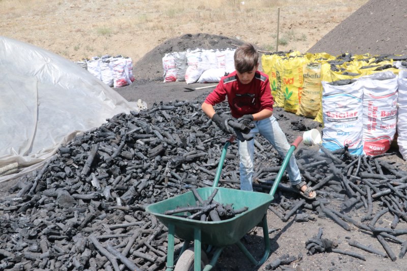 Mangal kömürü işçileri, bunaltıcı sıcaklarda üretime devam ediyor