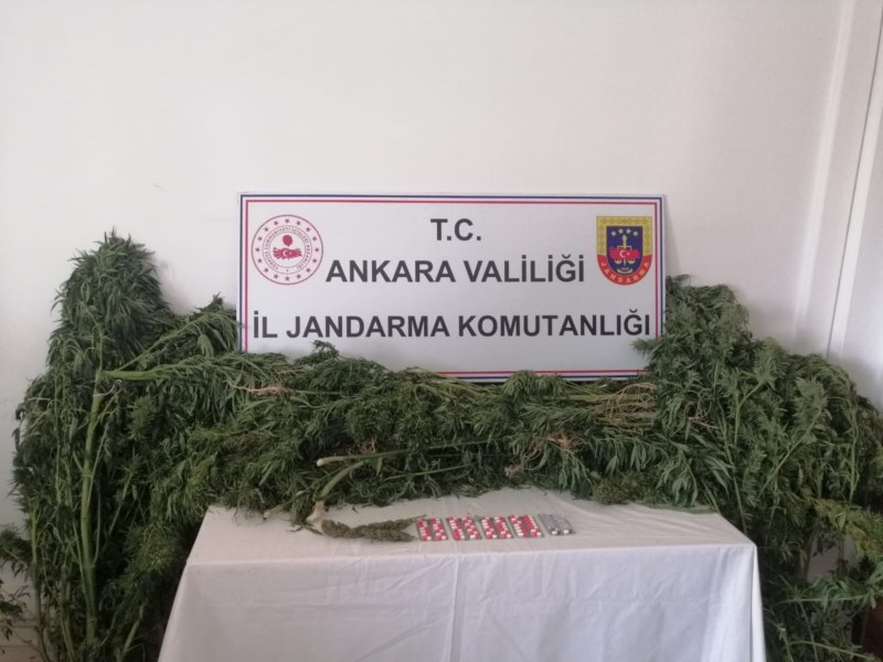 Jandarma ekiplerince uyuşturucu operasyonu düzenlendi