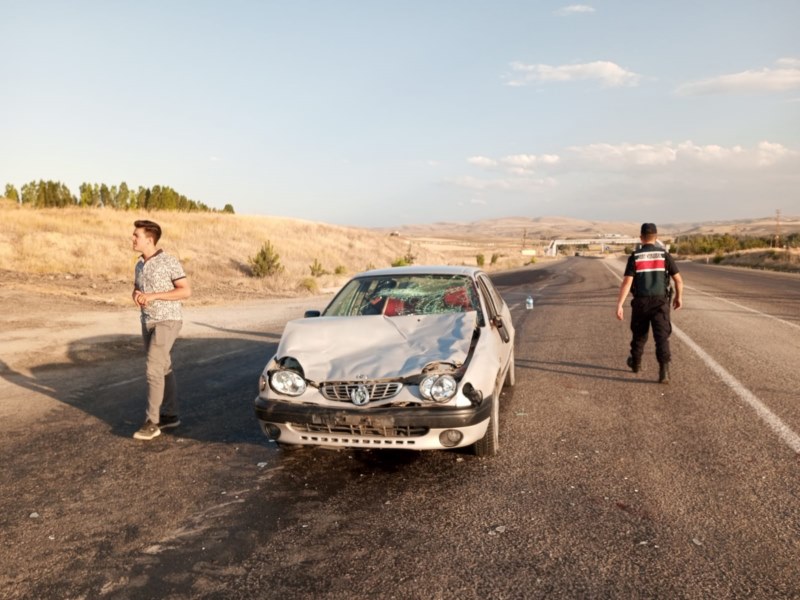 Büyükbaş hayvana çarpan otomobilin sürücüsü darbedildi