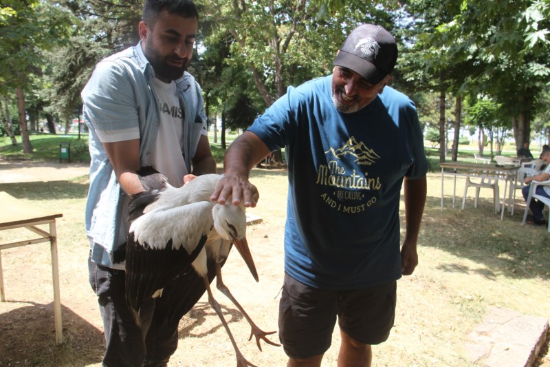 Parkta gezen yavru leylek ilgi odağı oldu