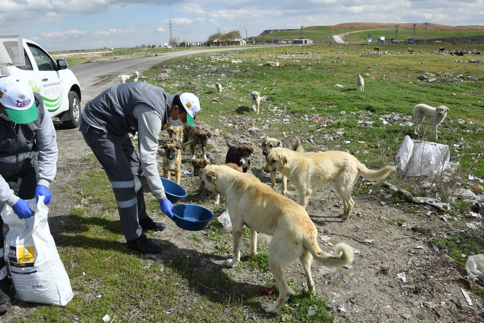 Sokak hayvanları unutulmuyor