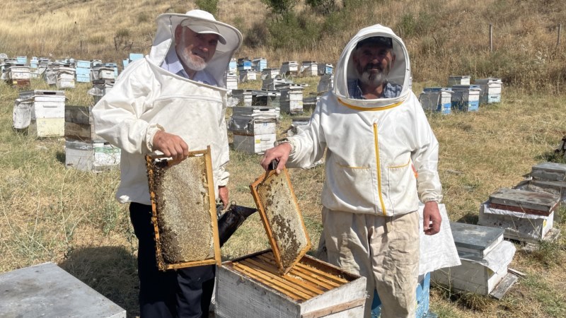 Bal hasadı gecikmeli başladı