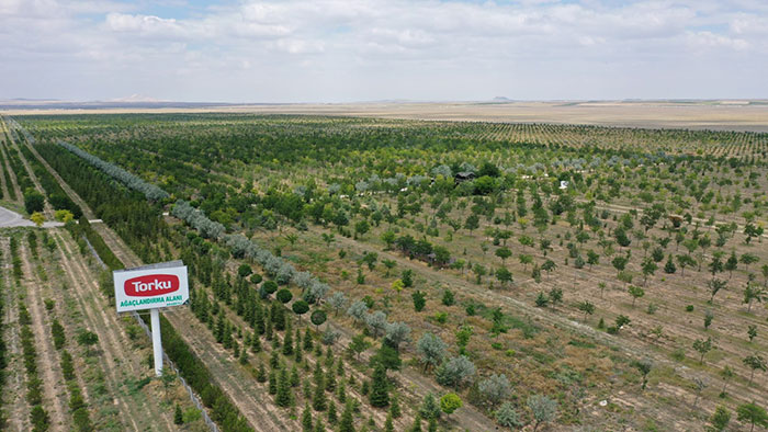 Konya Şeker, Torku Ormanları hakkında açıklama yaptı