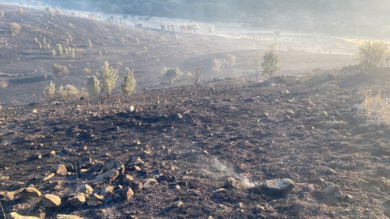 Arazi yangını söndürüldü