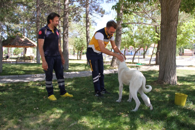 "Mahoni"ye 112 istasyonu çalışanları sahip çıktı