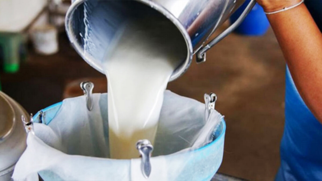 Sütün üreticiye maliyeti 12 lirayı aştı