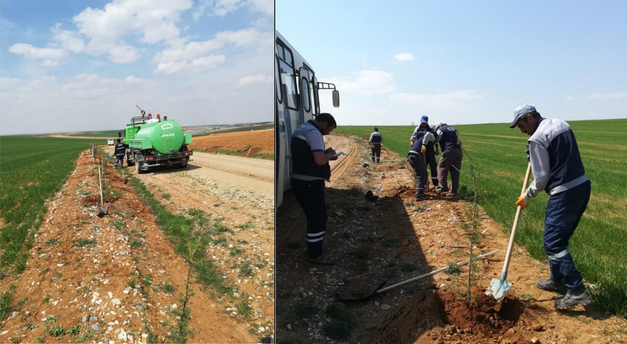 Beşgöz yolu ağaçlandırılıyor