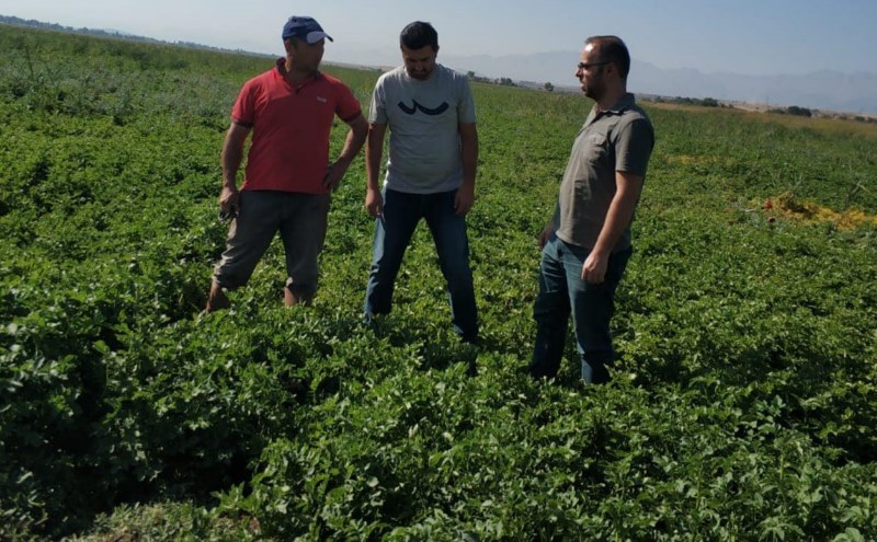 Üreticiler zararlılara karşı bilgilendiriliyor