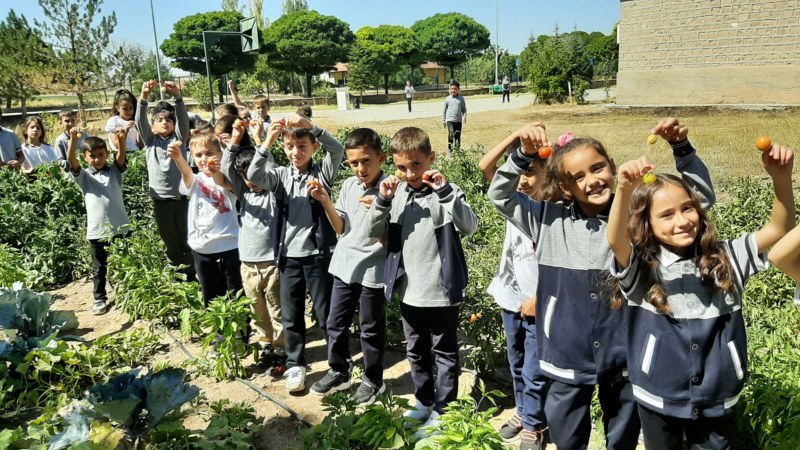 Öğrenciler okulun bahçesinde yetiştirdikleri sebzeleri hasat etti