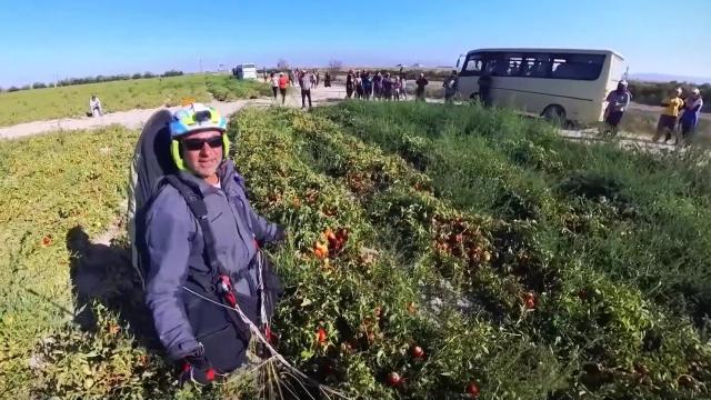 Pilot domates tarlasına indi