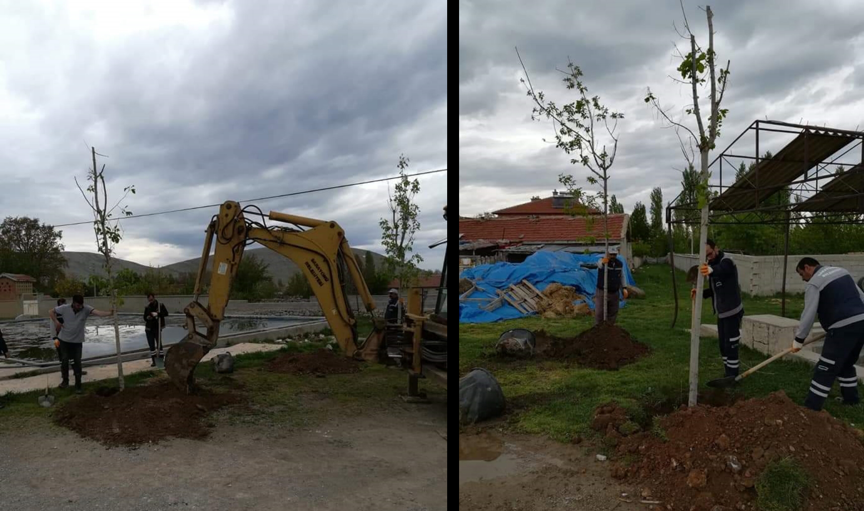 Ladik’te ağaçlandırma çalışması