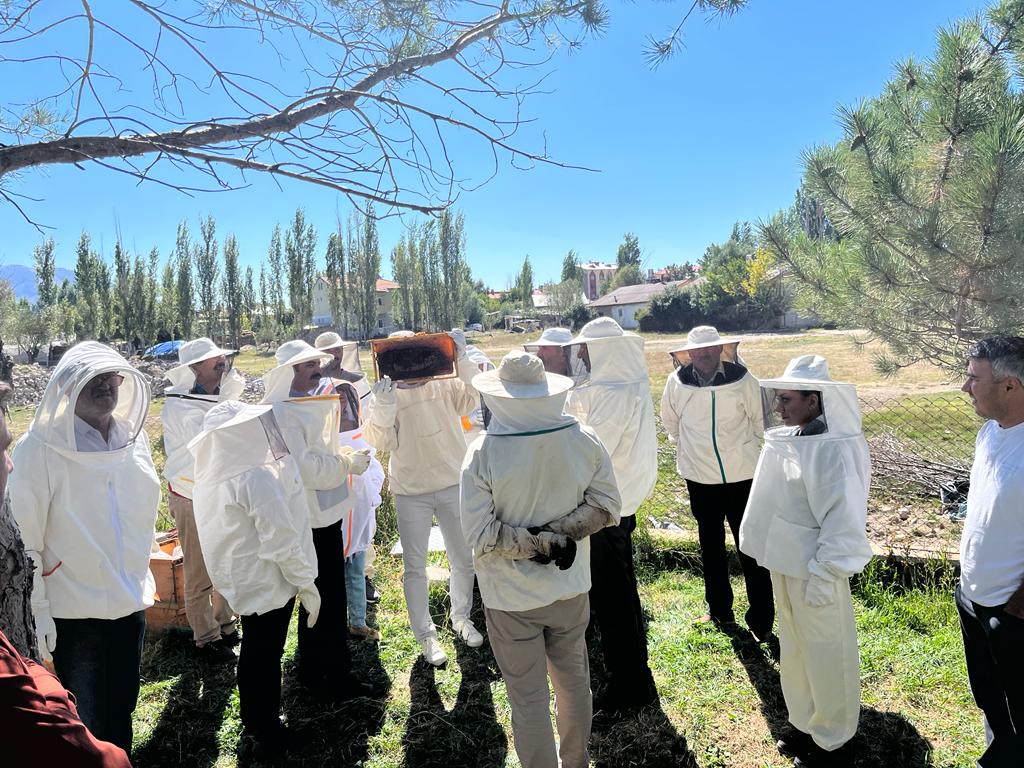 Ulaş'ta arı yetiştiriciliği kursu açıldı