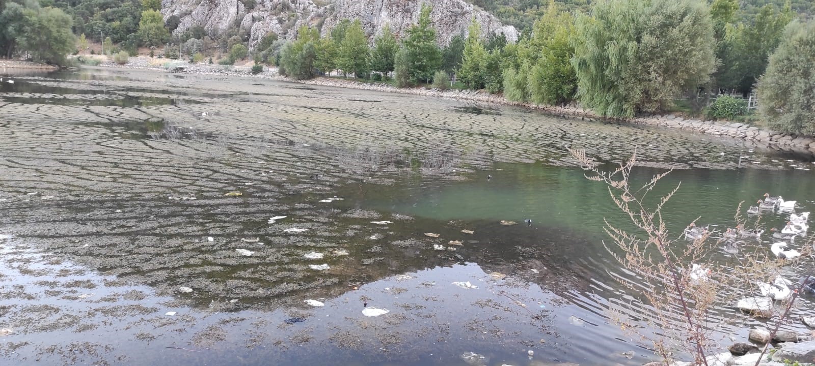 Seydişehir’in göz bebeği zor durumda