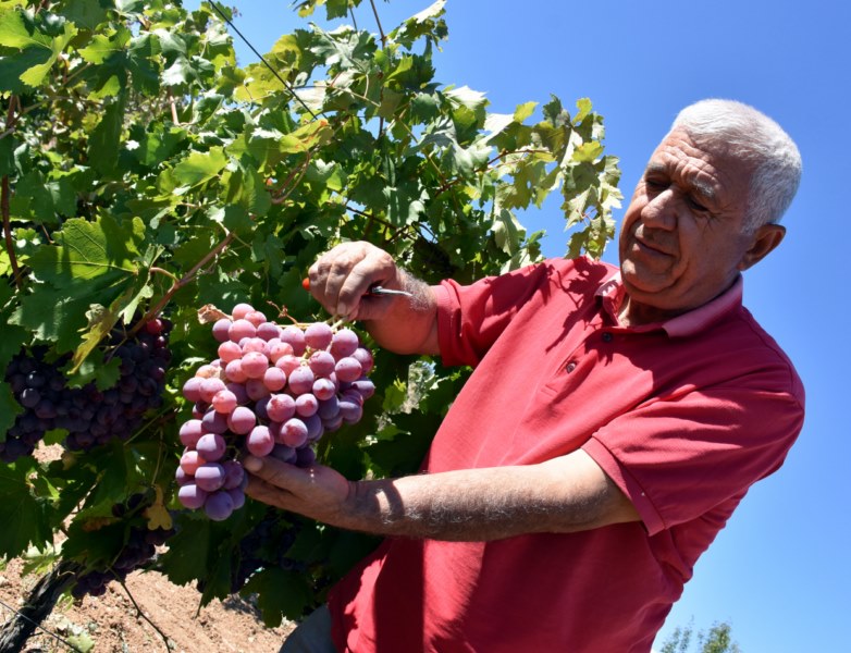 Emekli polis talebe yetişemiyor